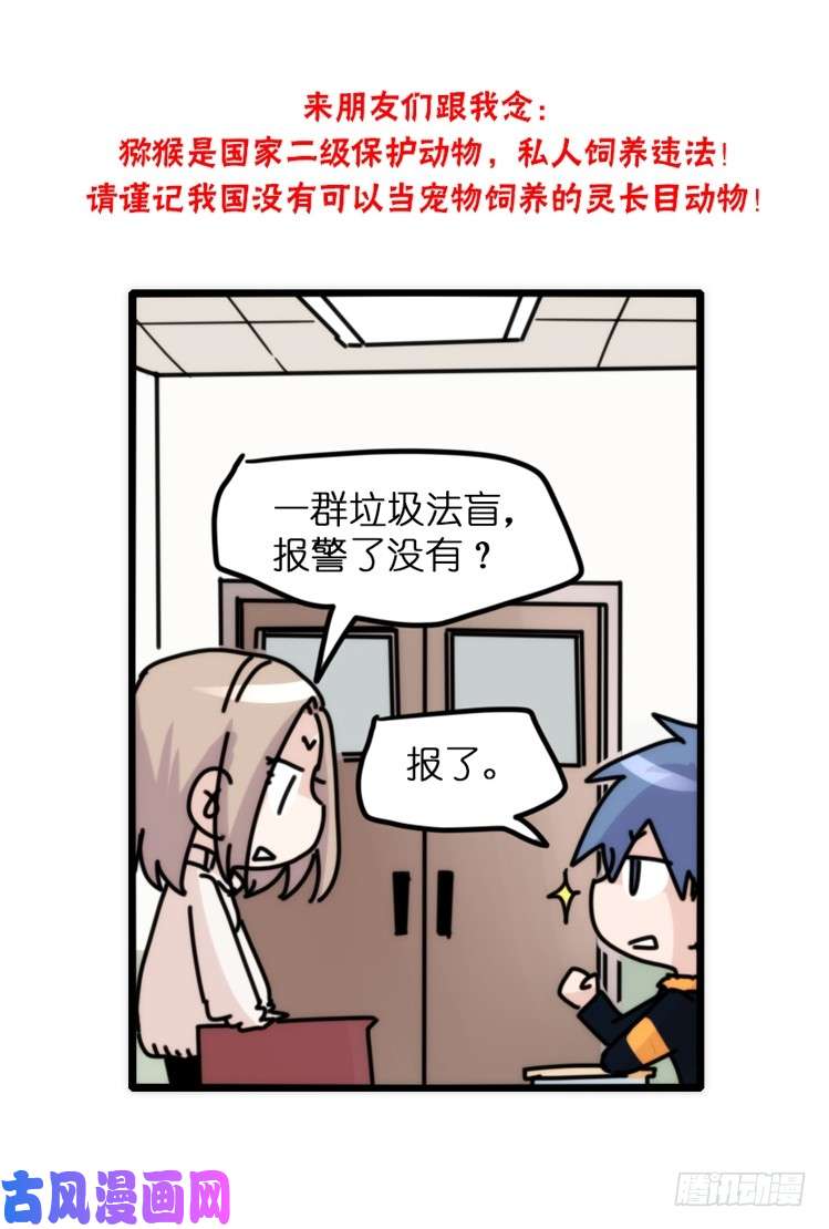 进化之基动协在行动15：正确调教法？