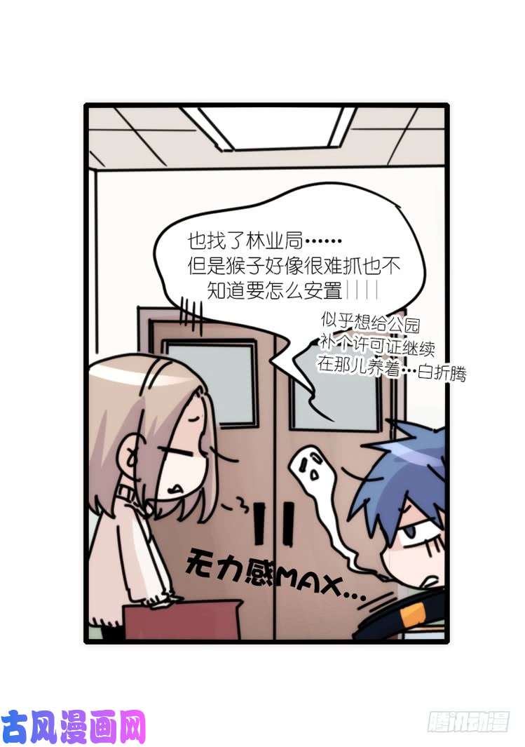 进化之基动协在行动15：正确调教法？