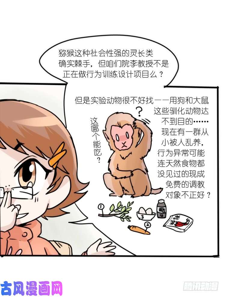 进化之基动协在行动15：正确调教法？