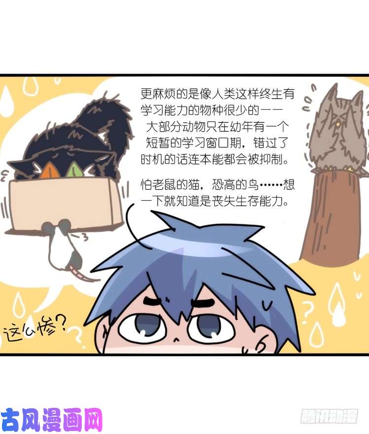 进化之基动协在行动15：正确调教法？