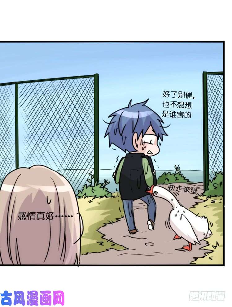 进化之基动协在行动15：正确调教法？