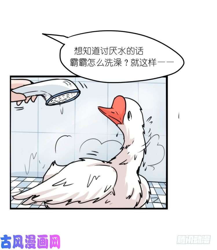 进化之基动协在行动15：正确调教法？