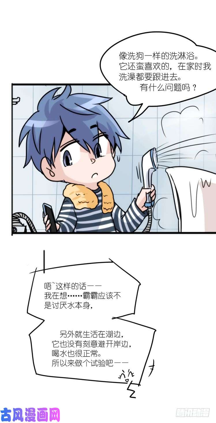 进化之基动协在行动15：正确调教法？