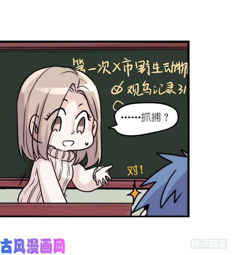 进化之基动协在行动15：正确调教法？