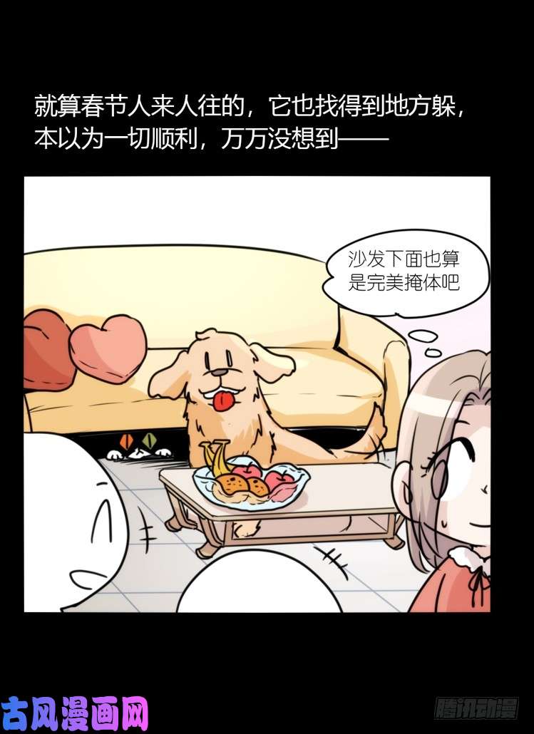 进化之基动协在行动16：动物界学渣（。）