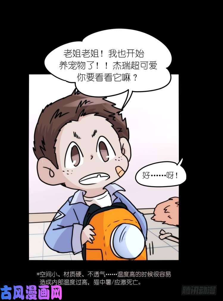 进化之基动协在行动16：动物界学渣（。）