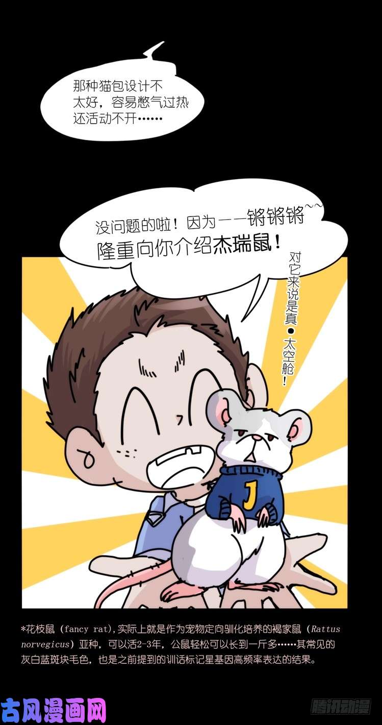 进化之基动协在行动16：动物界学渣（。）