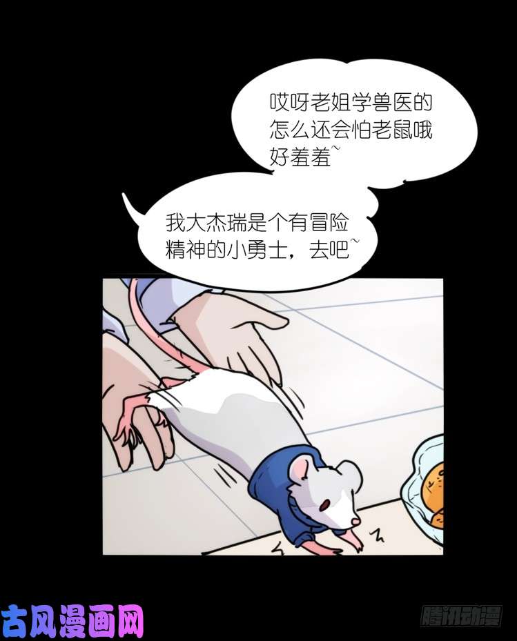 进化之基动协在行动16：动物界学渣（。）