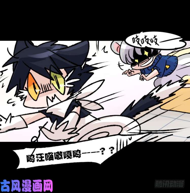 进化之基动协在行动16：动物界学渣（。）