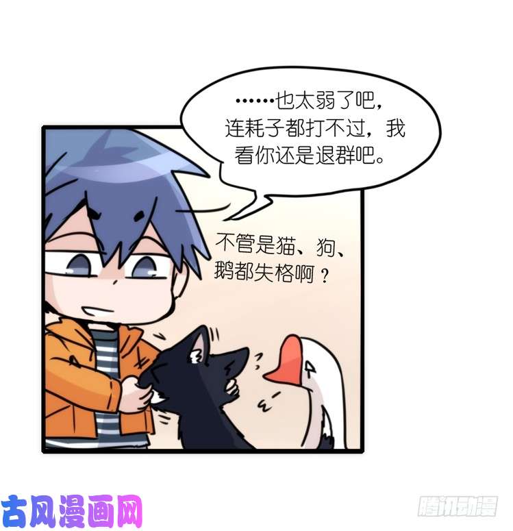 进化之基动协在行动16：动物界学渣（。）
