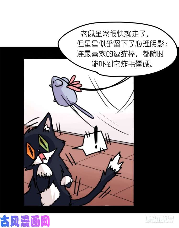 进化之基动协在行动16：动物界学渣（。）