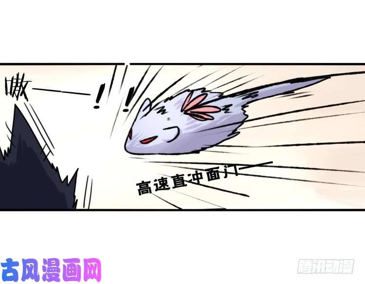进化之基动协在行动16：动物界学渣（。）