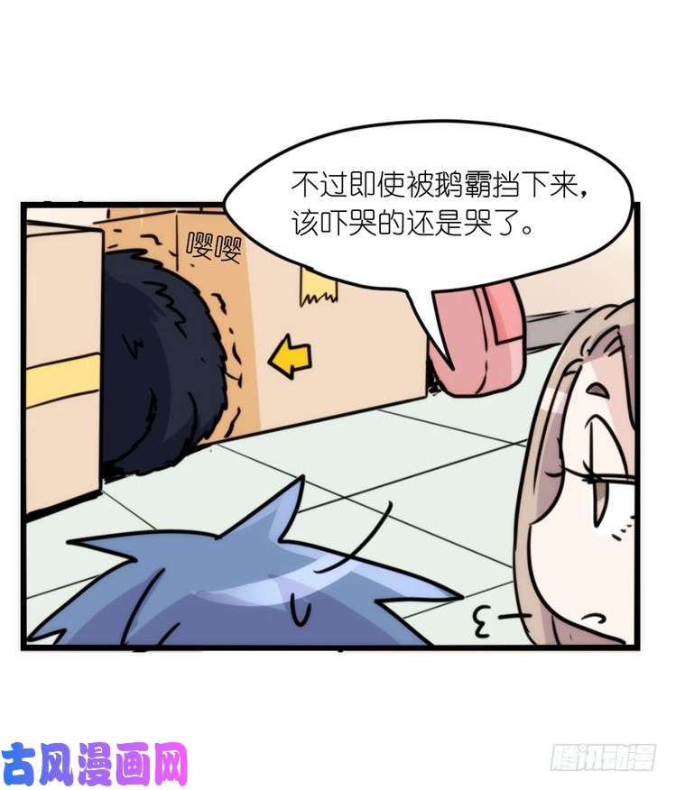 进化之基动协在行动16：动物界学渣（。）