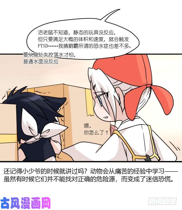 进化之基动协在行动16：动物界学渣（。）
