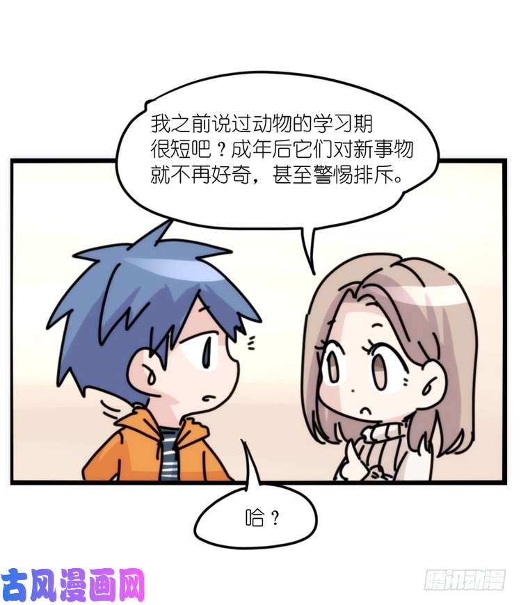进化之基动协在行动16：动物界学渣（。）