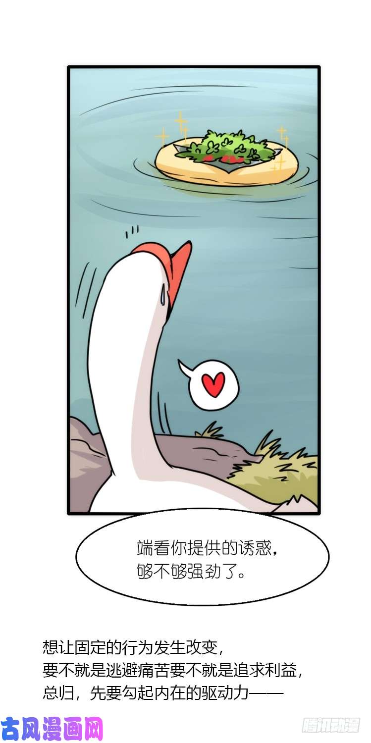 进化之基动协在行动16：动物界学渣（。）