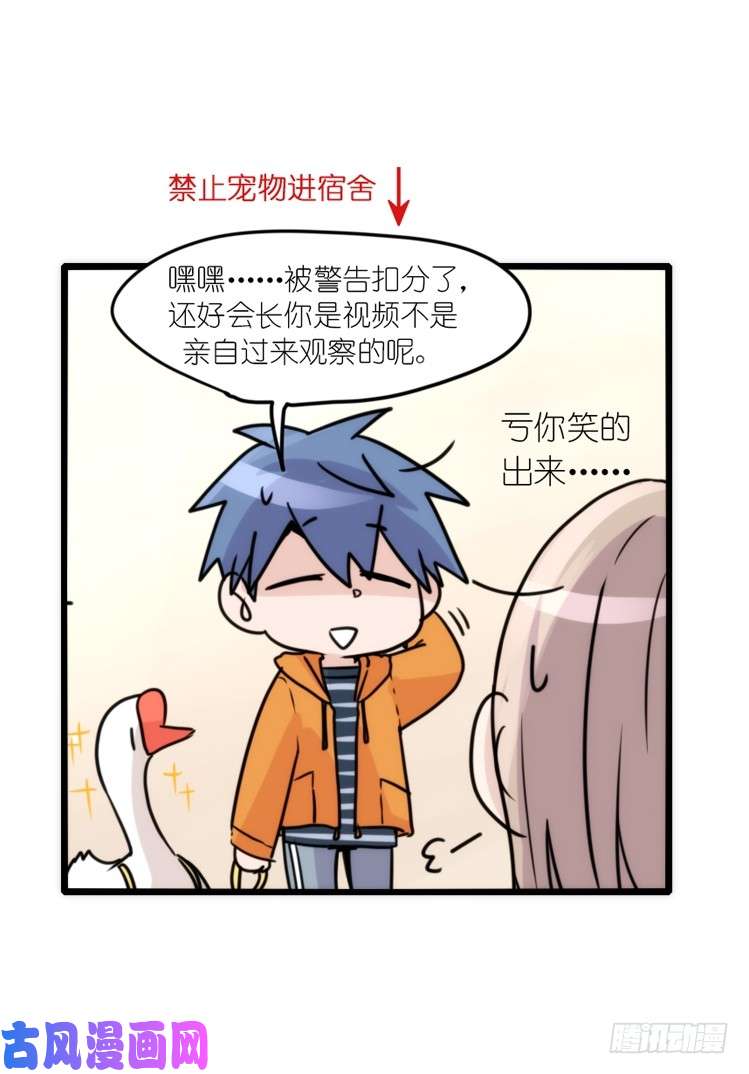 进化之基动协在行动16：动物界学渣（。）