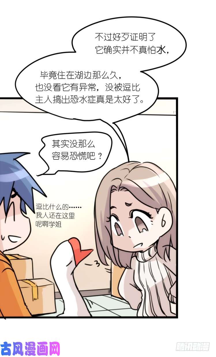 进化之基动协在行动16：动物界学渣（。）