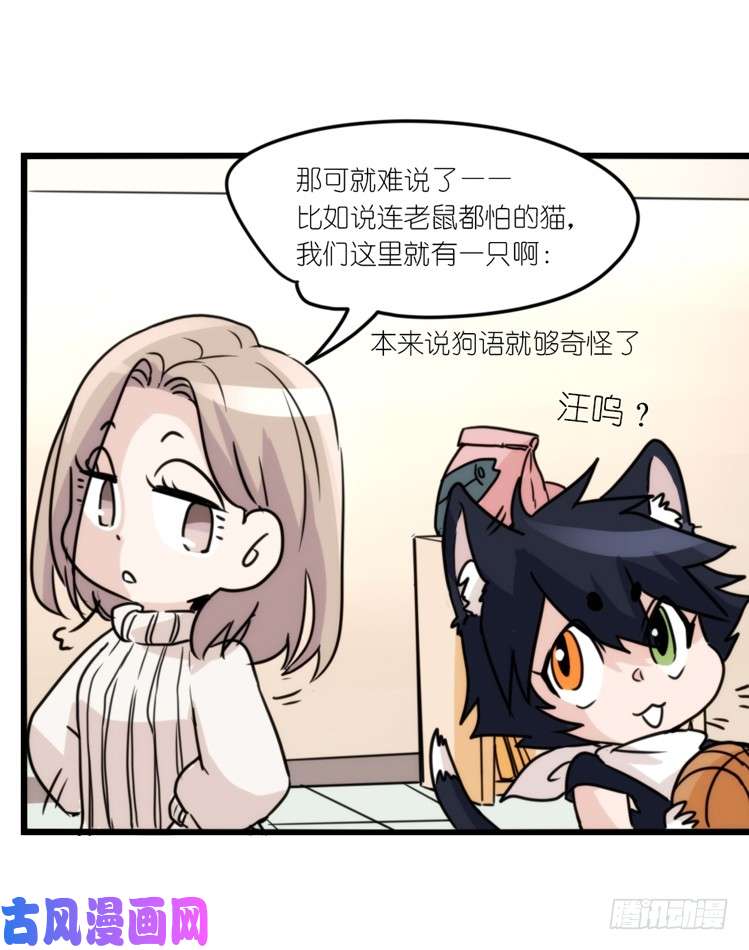 进化之基动协在行动16：动物界学渣（。）