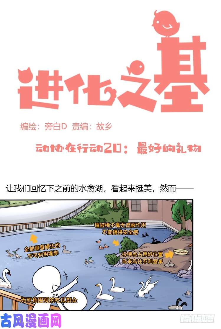 进化之基动协在行动：最好的礼物