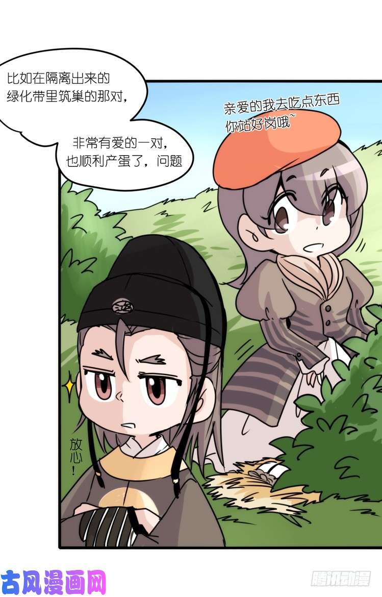 进化之基动协在行动：最好的礼物