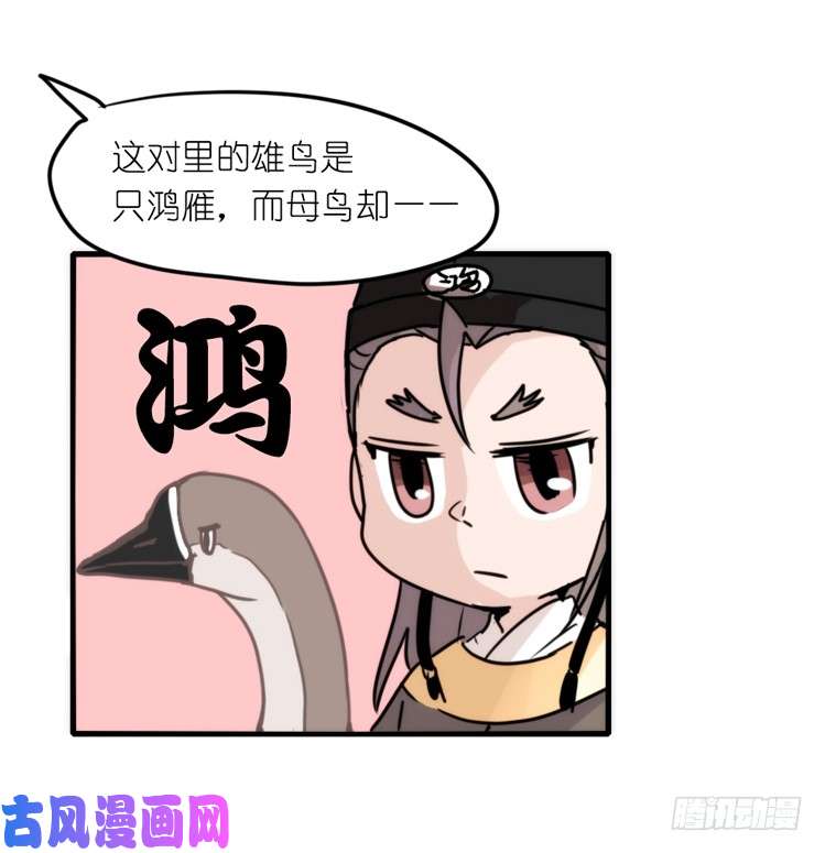 进化之基动协在行动：最好的礼物