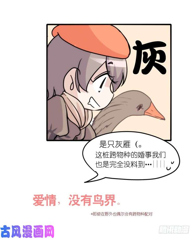 进化之基动协在行动：最好的礼物