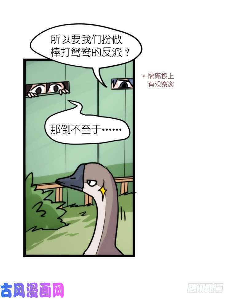 进化之基动协在行动：最好的礼物