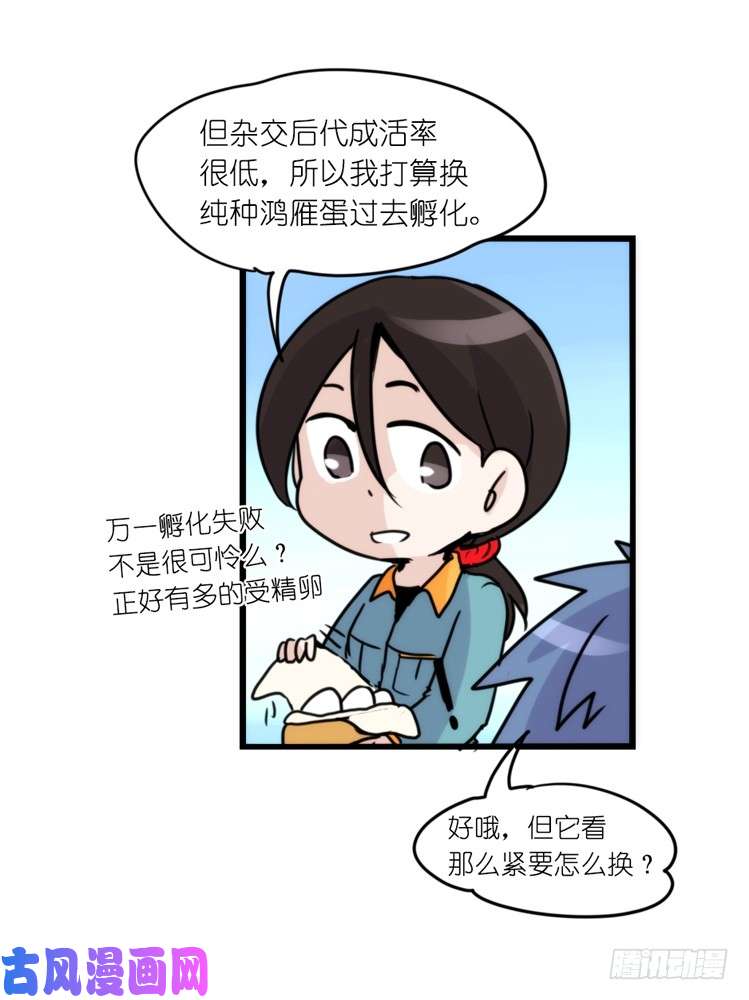进化之基动协在行动：最好的礼物