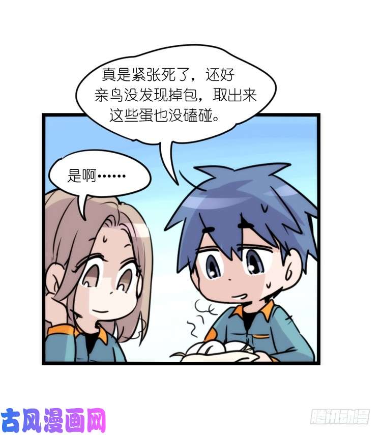 进化之基动协在行动：最好的礼物