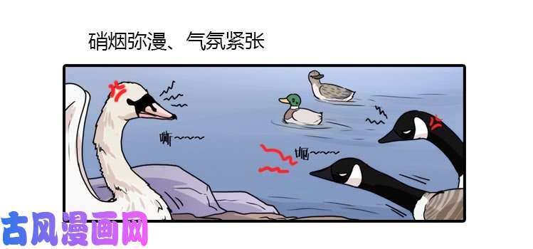 进化之基动协在行动：最好的礼物