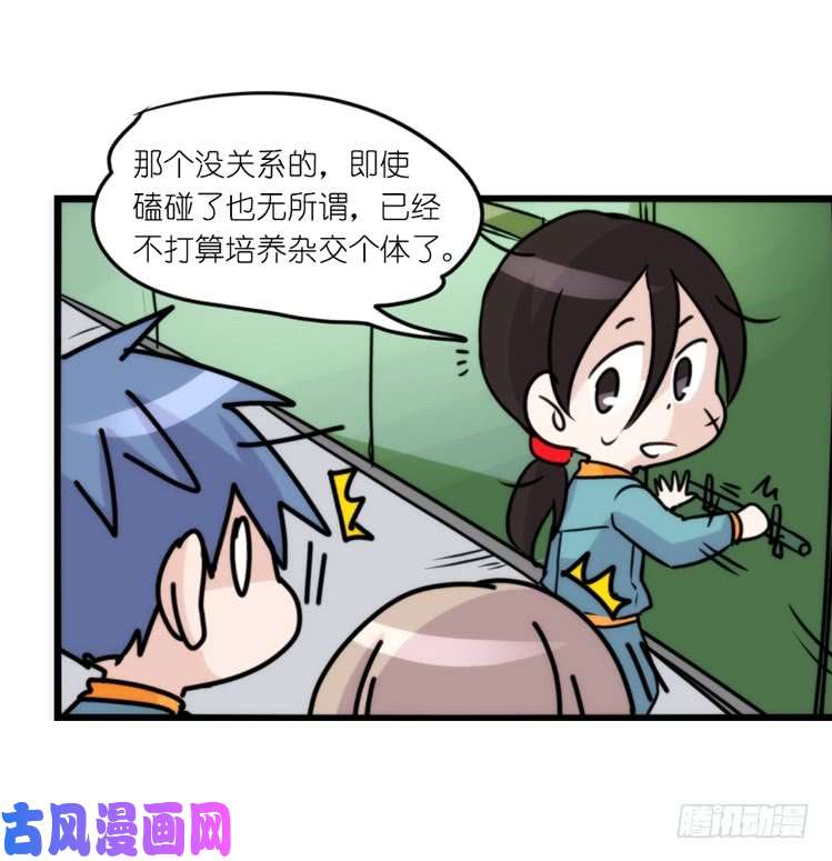 进化之基动协在行动：最好的礼物