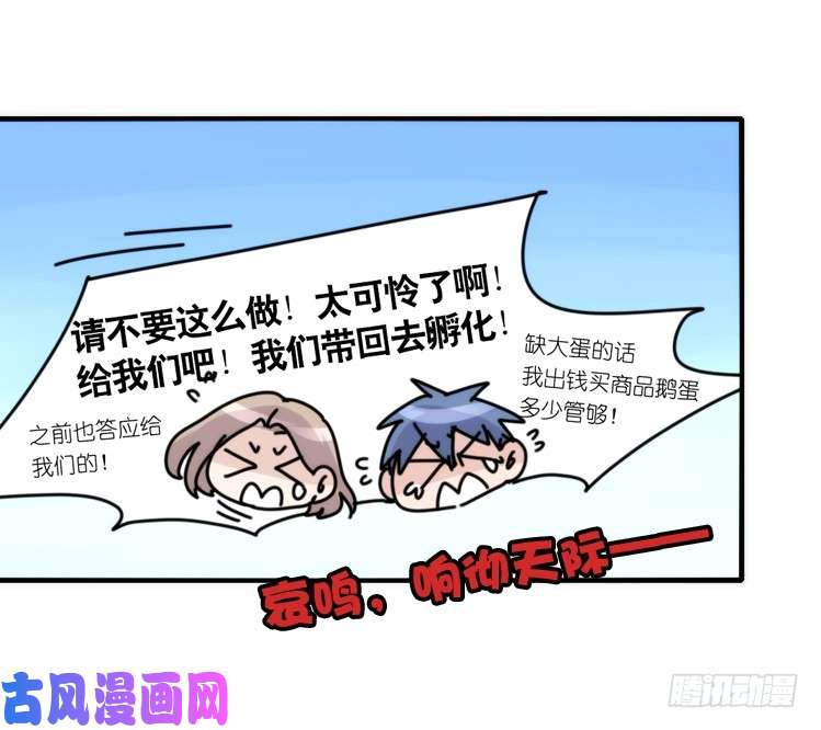 进化之基动协在行动：最好的礼物