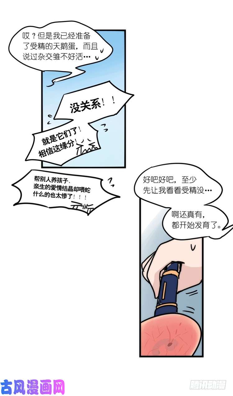进化之基动协在行动：最好的礼物