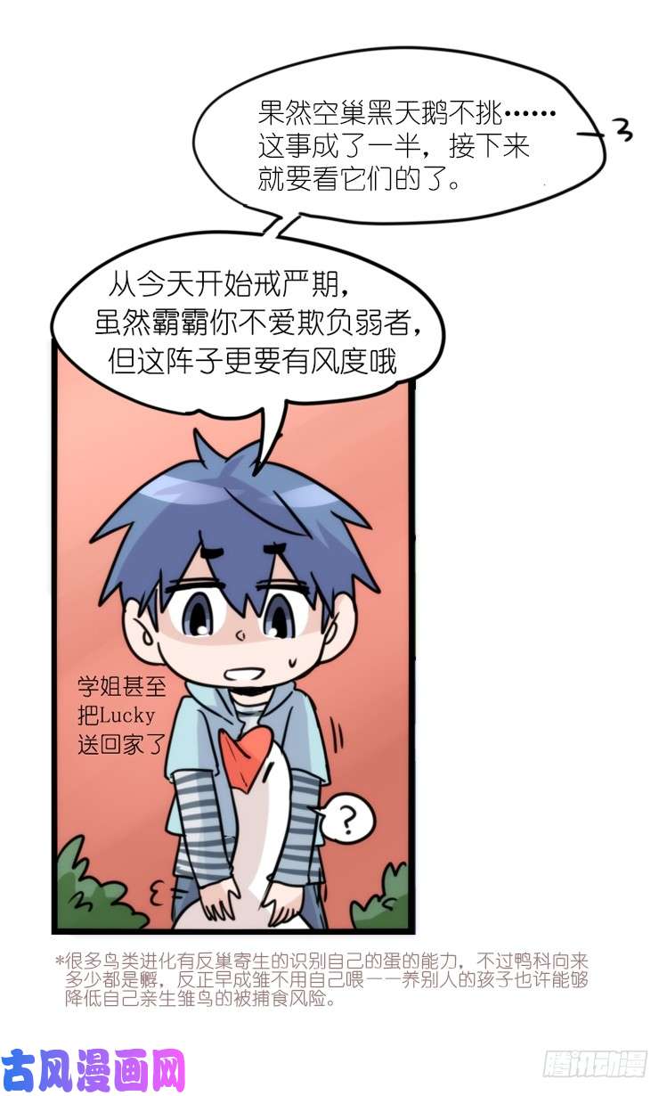 进化之基动协在行动：最好的礼物
