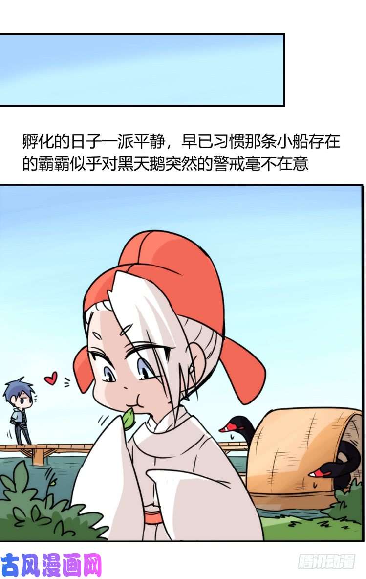 进化之基动协在行动：最好的礼物