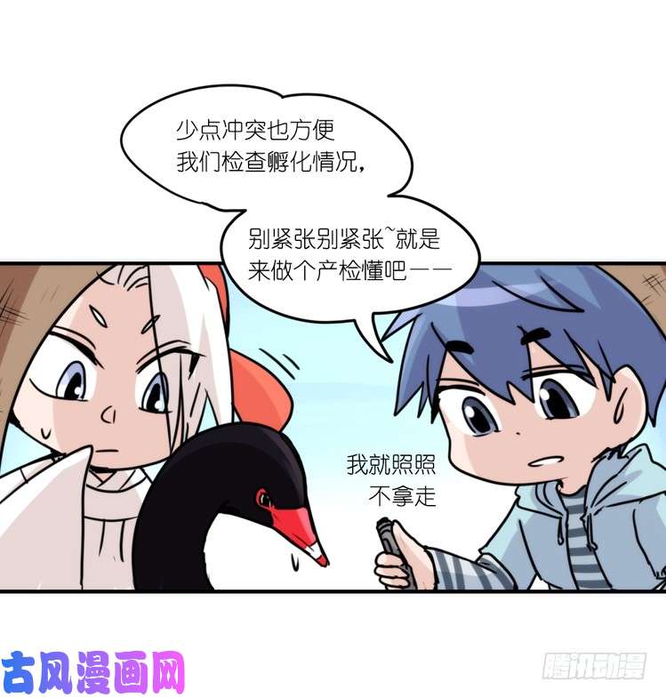 进化之基动协在行动：最好的礼物