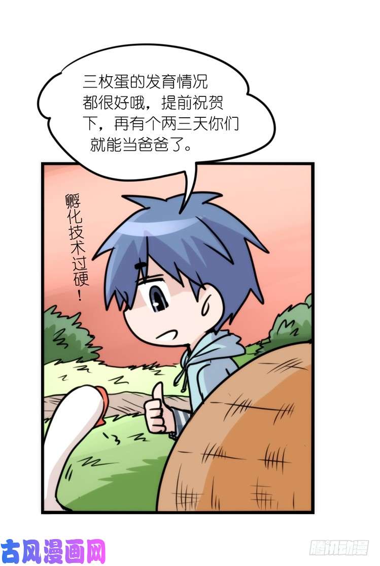 进化之基动协在行动：最好的礼物
