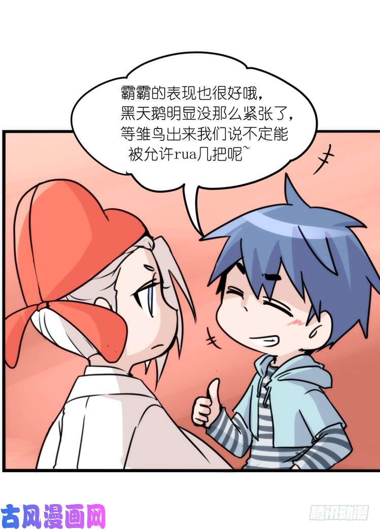 进化之基动协在行动：最好的礼物