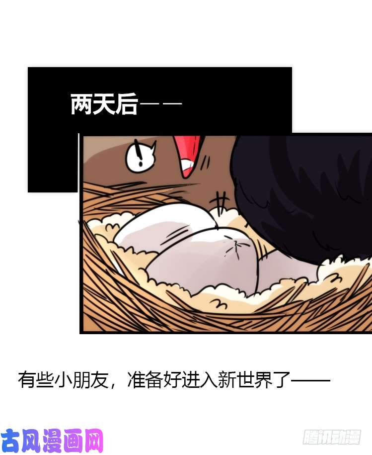进化之基动协在行动：最好的礼物
