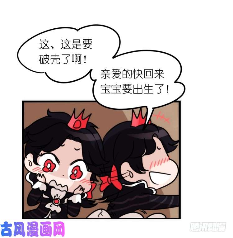进化之基动协在行动：最好的礼物