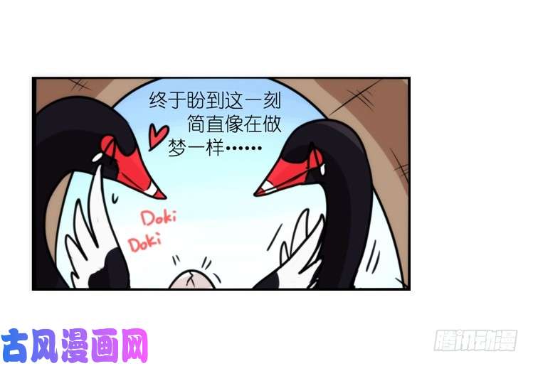 进化之基动协在行动：最好的礼物