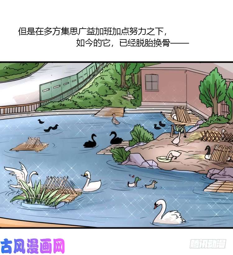 进化之基动协在行动：最好的礼物