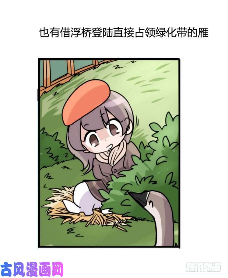 进化之基动协在行动：最好的礼物