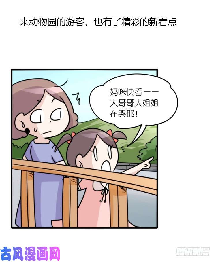 进化之基动协在行动：最好的礼物