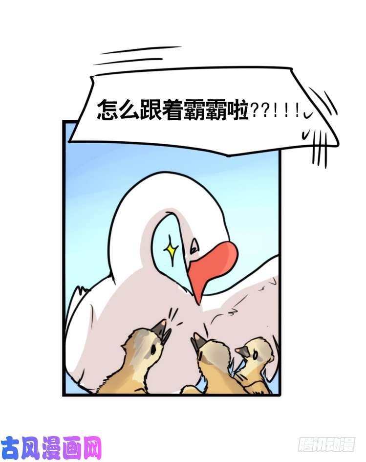 进化之基动协在行动：毛绒绒战争