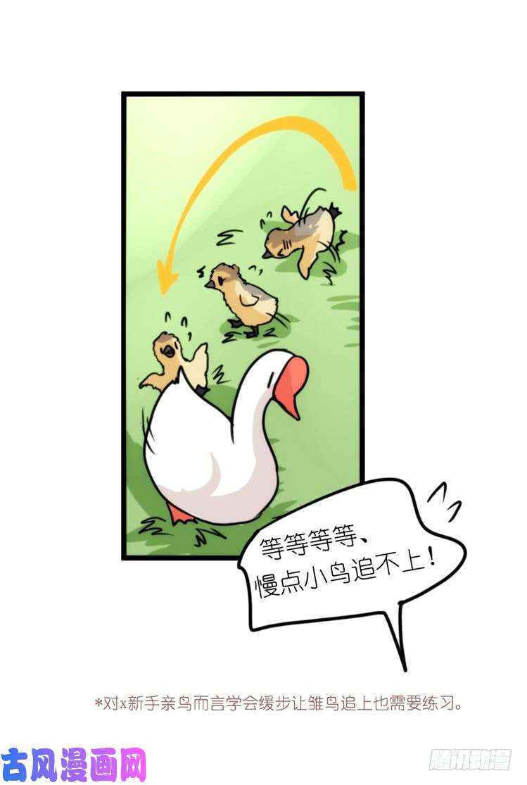 进化之基动协在行动：毛绒绒战争