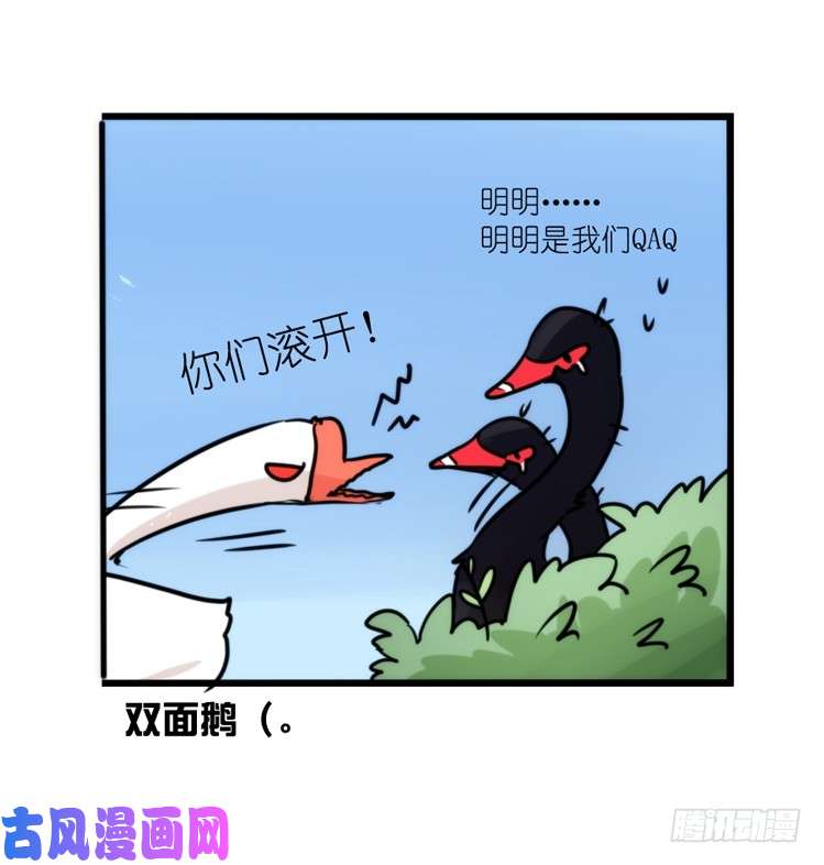 进化之基动协在行动：毛绒绒战争