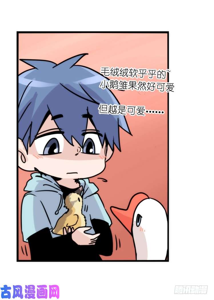 进化之基动协在行动：毛绒绒战争