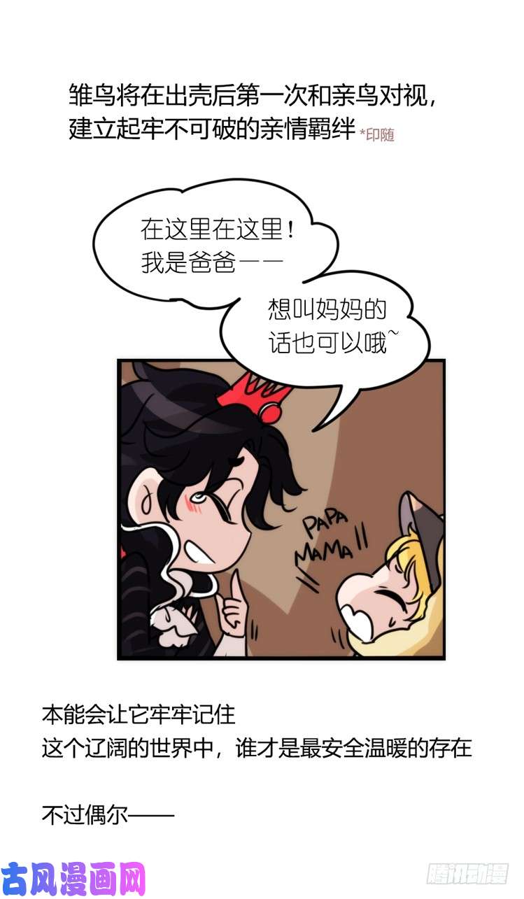 进化之基动协在行动：毛绒绒战争